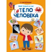 Тело человека