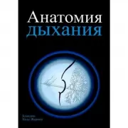 Анатомия дыхания