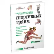 Анатомия спортивных травм