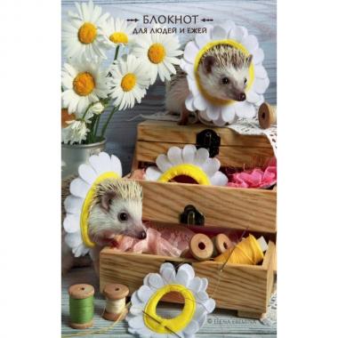 Блокнот для людей и ежей