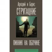 Пикник на обочине
