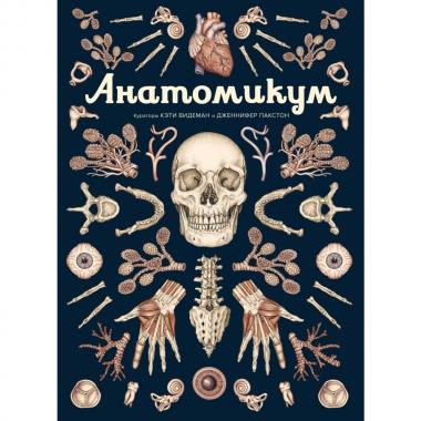 Анатомикум
