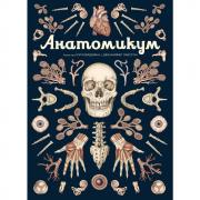 Анатомикум
