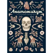 Анатомикум
