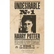 Гарри Поттер. Нежелательное лицо №1