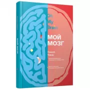 Мой мозг