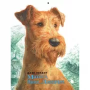 Майкл, брат Джерри