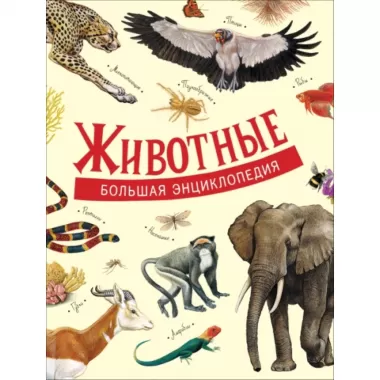 Животные