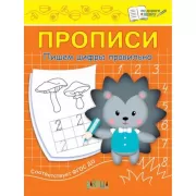 Пишем цифры правильно