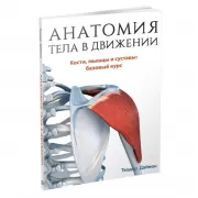 Анатомия тела в движении