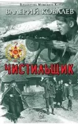 Чистильщик