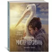 Штормик и мистер Персиваль