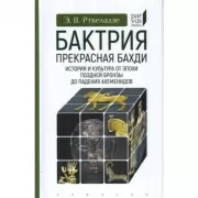 Бактрия. Прекрасная Бахди. История и культура от эпохи поздней бронзы до падения Ахеменидов