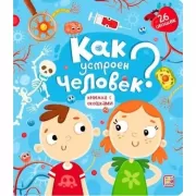 Как устроен человек?