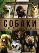Собаки