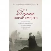 Душа после смерти. Современные «посмертные» опыты в свете учения Православной церкви