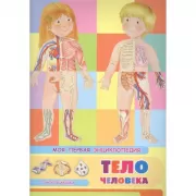 Тело человека