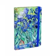 Ван Гог. Ирисы