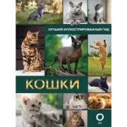 Кошки