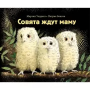 Совята ждут маму