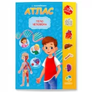 Тело человека