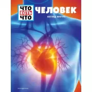 Человек. Взгляд внутрь