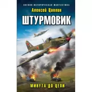 Штурмовик. Минута до цели