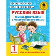 Русский язык. Мини-диктанты с разбором всех орфограмм. 1 класс