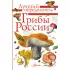 Грибы России