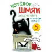 Большая книга школьных историй