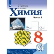 Химия. 8 класс. Часть 2 (для слабовидящих обучающихся)