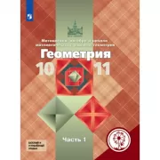 Геометрия. 10-11 класс. Часть 1 (версия для слабовидящих)