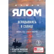 Вглядываясь в солнце. Жизнь без страха смерти
