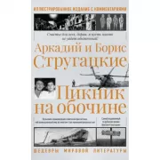 Пикник на обочине
