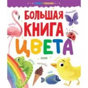 Большая книга. Цвета