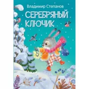 Серебряный ключик