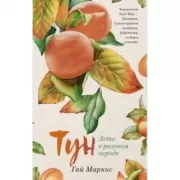 Лето в розовом городе