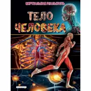Тело человека
