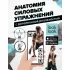 Анатомия силовых упражнений с дополненной реальностью