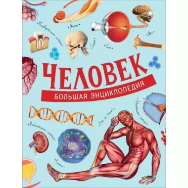 Человек