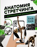 Анатомия стретчинга с дополненной реальностью