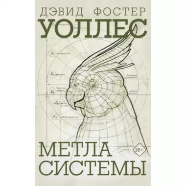 Метла Системы