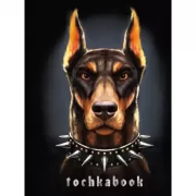 Tochkabook