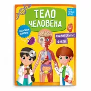 Тело человека