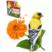 Я не ревную