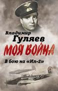 В бой на «Ил-2». Нас называли «черной смертью»