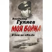 В бой на «Ил-2». Нас называли «черной смертью»