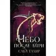 Небо после бури