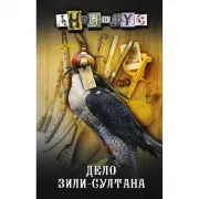 Дело Зили-Султана