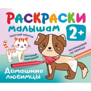 Домашние любимцы